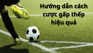 Hướng dẫn cách cược gấp thếp hiệu quả