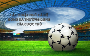 Các thuật ngữ cá độ bóng đá thường dùng của cược thủ