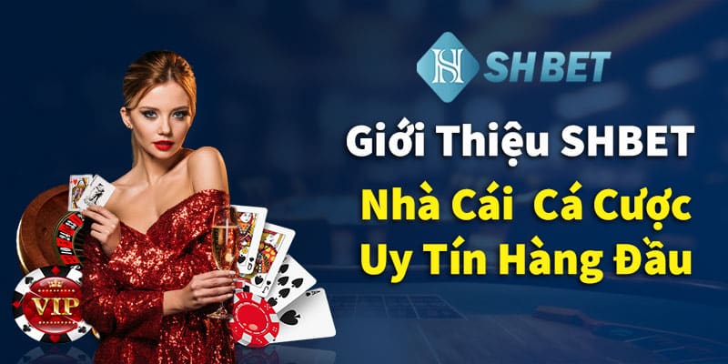 Giới thiệu tổng quan nhà cái cá cược uy tín hàng đầu