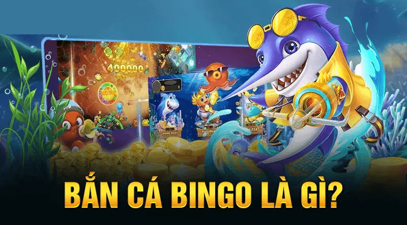 Bắn Cá BinGo là gì?