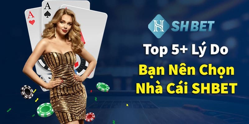 Top 5 lý do nên chọn nhà cái SHBET